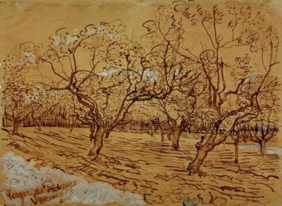 Provençaalse boomgaard door Vincent van Gogh